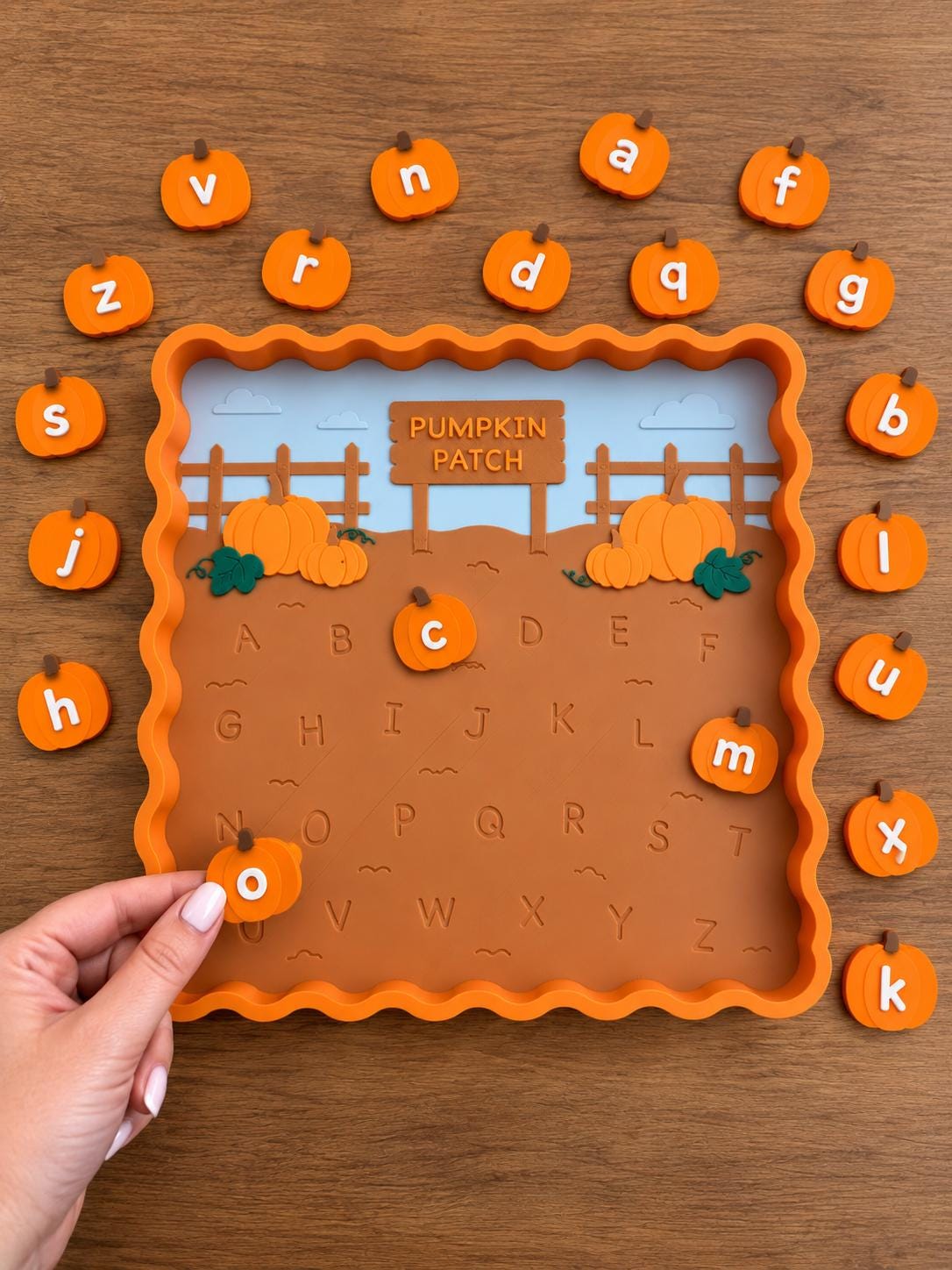 Pumpkin Alphabet Matching Tray, Fall Preschool Learning Activity, Uppercase Lowercase Letter Matching Toy
