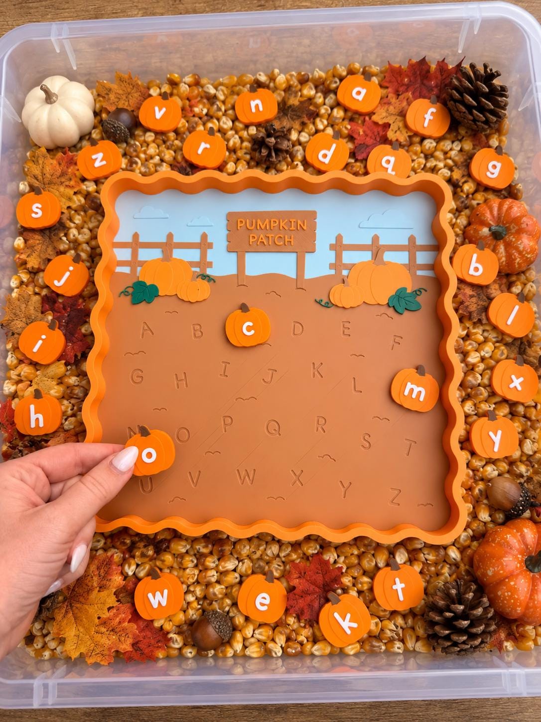 Pumpkin Alphabet Matching Tray, Fall Preschool Learning Activity, Uppercase Lowercase Letter Matching Toy