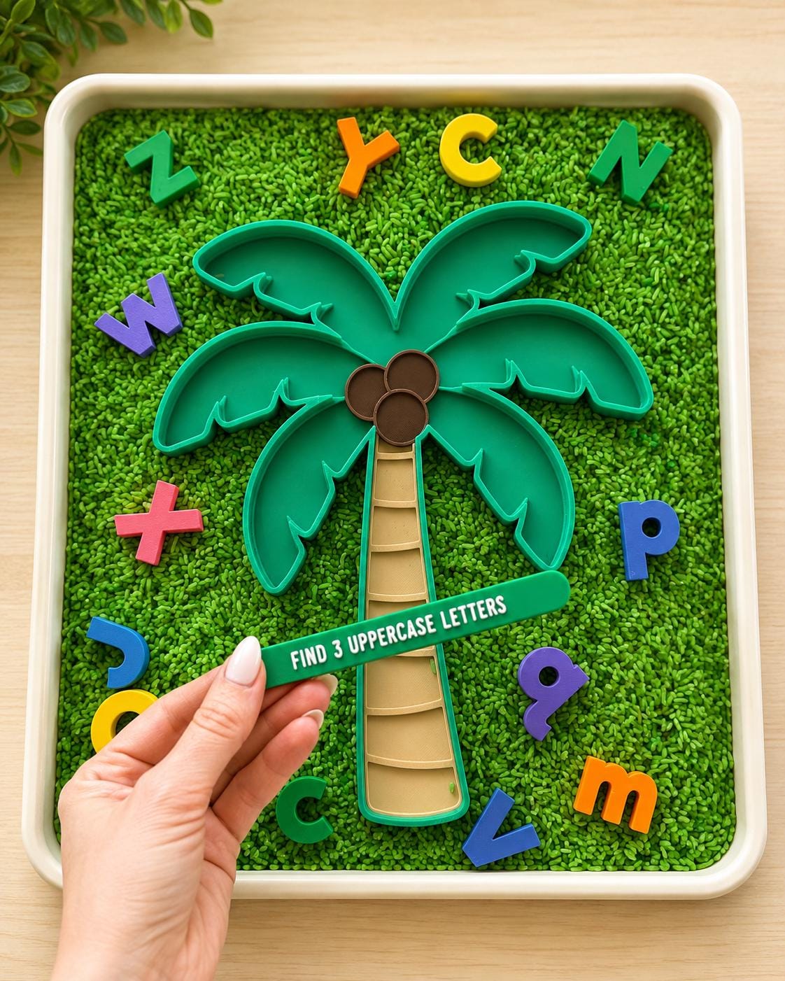 Palm Tree Alphabet Learning Set