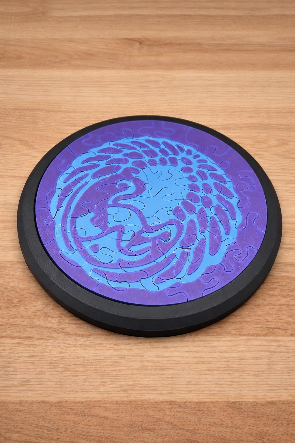 Survivor-Style Challenge Disk Puzzle — 3D Printed Brain Teaser Game