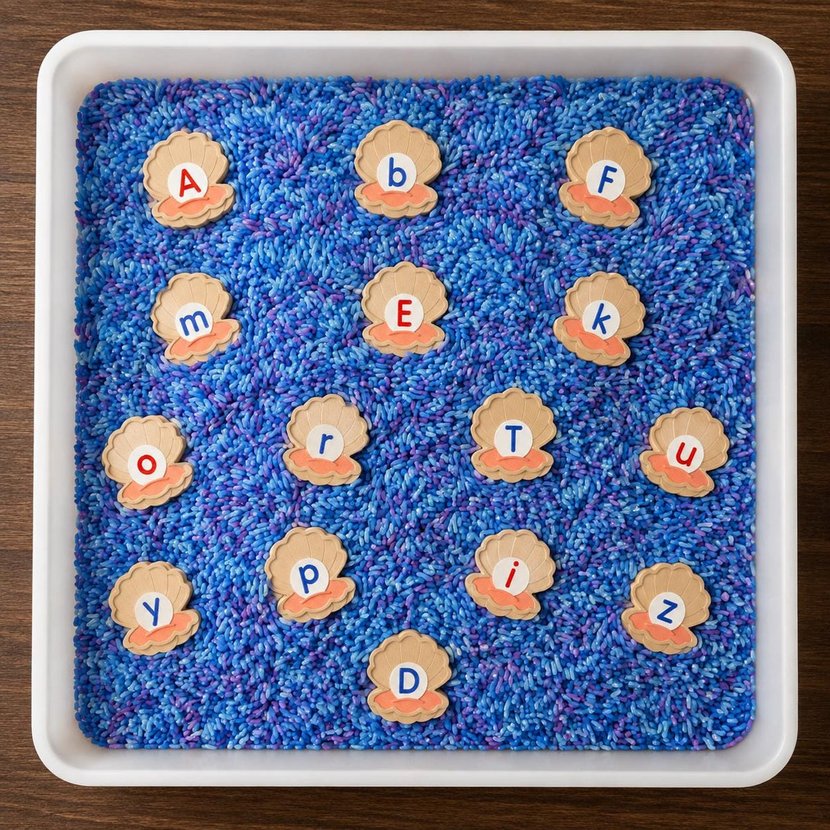 3D Printed Shell Alphabet Letters, Ocean Sensory Bin Toys, Preschool Learning Activity