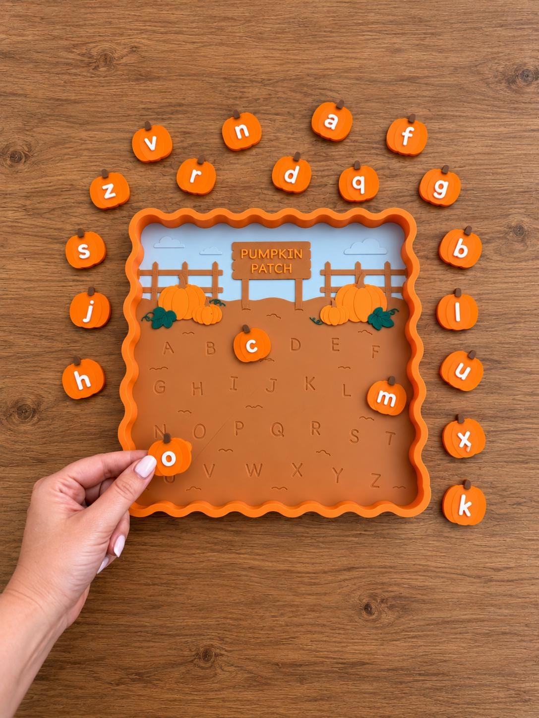 Pumpkin Alphabet Matching Tray, Fall Preschool Learning Activity, Uppercase Lowercase Letter Matching Toy